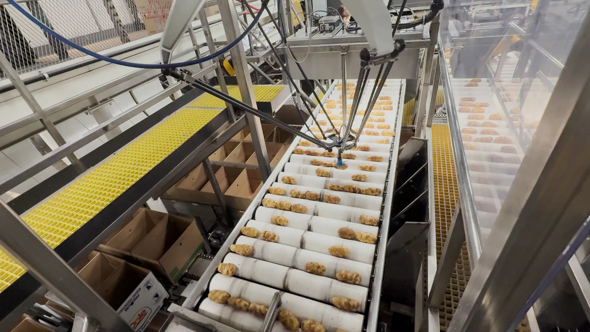 SiftAI® Robotic Sorter for Potatoes